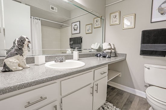 The Marq Apartments Clubhouse Model Bathroom1